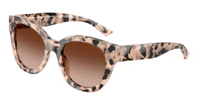 Jimmy Choo Jc5053 508013 Occhiali Da Sole Tartarugatishell Per Donna In Brown