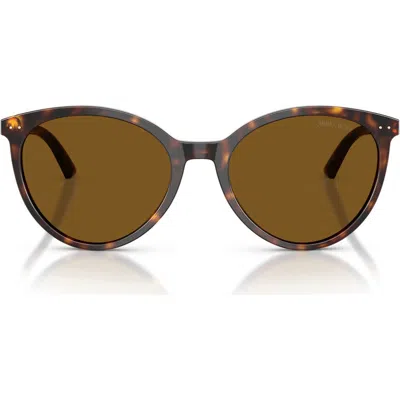 Jimmy Choo Jc5060 53mm Polarized Phantos Sunglasses In Havana/dark Brown Polar