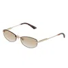 Jimmy Choo Elliptical Sunglasses In Brown