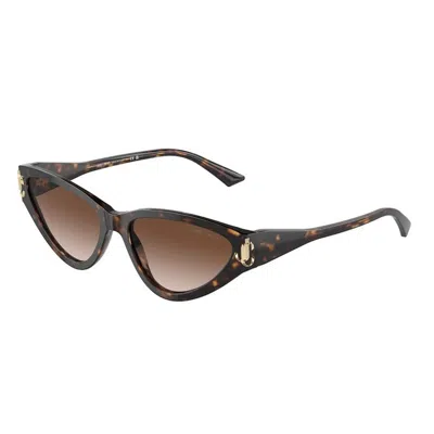 Jimmy Choo Brown Gradient Cat Eye Ladies Sunglasses Jc5019 500213 55 In Multi