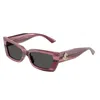 Jimmy Choo 54mm Cat Eye Sunglasses