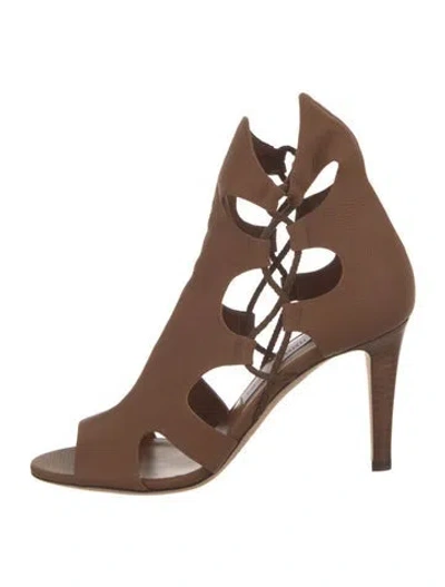 Pre-owned Jimmy Choo Leather Cutout Accent Gladiator Sandals In Brown