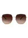 Jimmy Choo Jc 4006bd 300613 58mm Womens Phantos Sunglasses In Brown