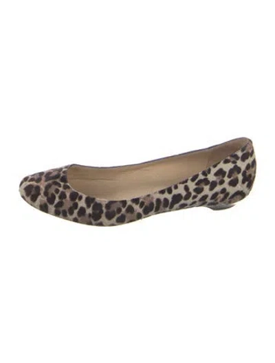 Pre-owned Jimmy Choo Ponyhair Animal Print Flats In Neutral