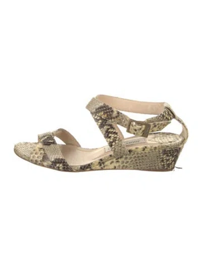 Pre-owned Jimmy Choo Python Animal Print Espadrilles In Neutral