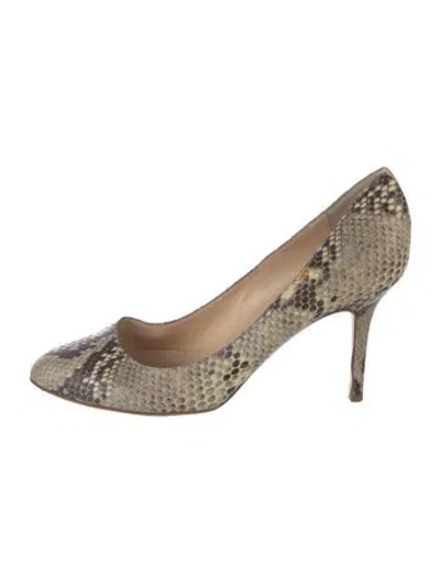 Pre-owned Jimmy Choo Python Animal Print Pumps In Neutral