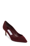 Jimmy Choo Pointed High Heels In Garnet