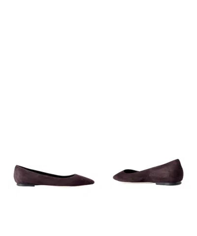 Jimmy Choo Romy Suede Point-toe Flats In Brown
