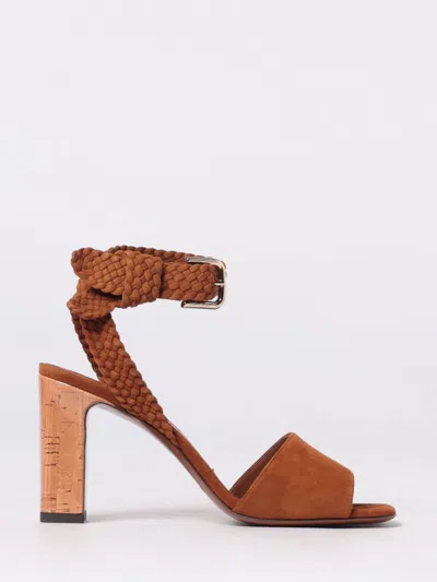 Jimmy Choo Rori 85 In Brown