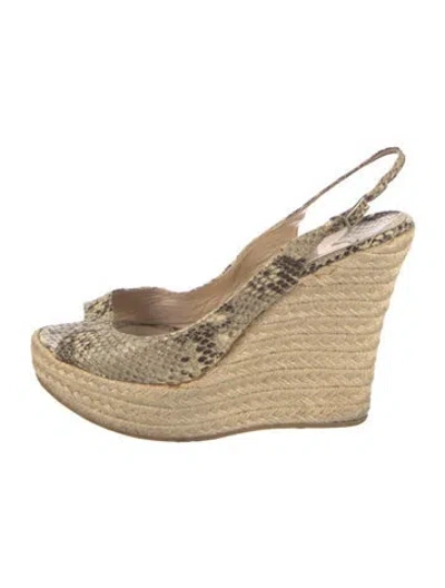 Pre-owned Jimmy Choo Snakeskin Animal Print Espadrilles In Neutrals
