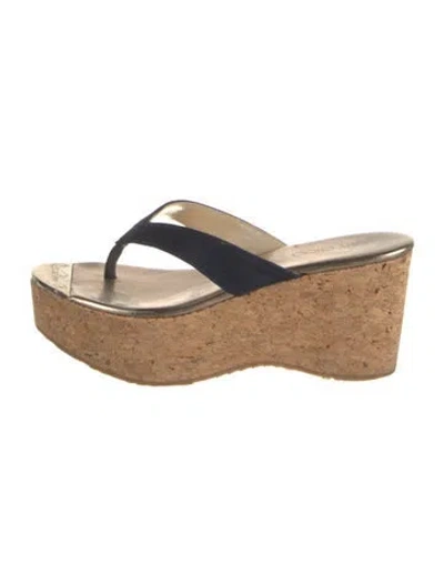 Pre-owned Jimmy Choo Suede Flip Flops In Blue