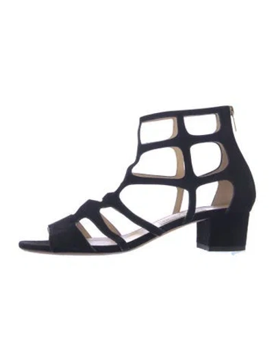 Pre-owned Jimmy Choo Suede Gladiator Sandals In Blue