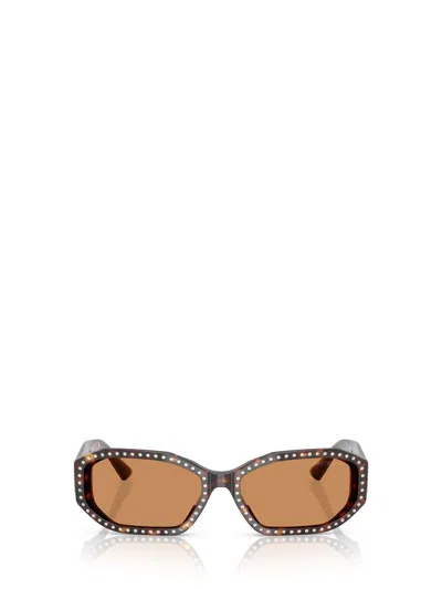 Jimmy Choo Sunglasses In Brown