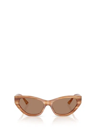 Jimmy Choo Sunglasses In Brown