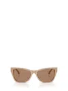 Jimmy Choo Sunglasses In Brown