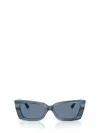 Jimmy Choo Sunglasses In Brown