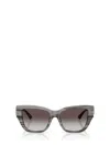 Jimmy Choo Sunglasses In Black