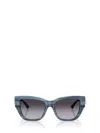 Jimmy Choo Sunglasses In Blue