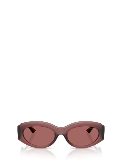 Jimmy Choo Sunglasses In Brown