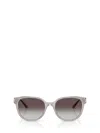 Jimmy Choo Sunglasses In Gray