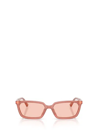 Jimmy Choo Sunglasses In Pink