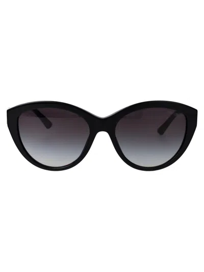 Jimmy Choo Sunglasses In 50008g Black