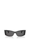 Jimmy Choo Sunglasses In Black