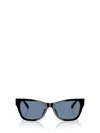 Jimmy Choo Sunglasses In Blue