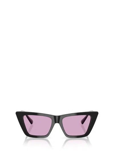 Jimmy Choo Sunglasses In Purple