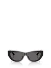 Jimmy Choo Sunglasses In Black
