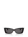 Jimmy Choo Sunglasses In Black