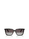Jimmy Choo Sunglasses In Black