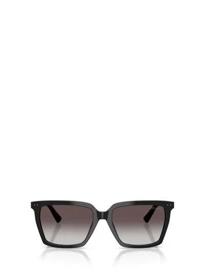 Jimmy Choo Sunglasses In Black