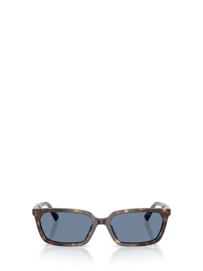 Jimmy Choo 55mm Rectangular Sunglasses In Multi