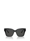Jimmy Choo Sunglasses In Black