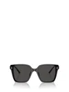 Jimmy Choo Woman Sunglass Jc5016d In Black