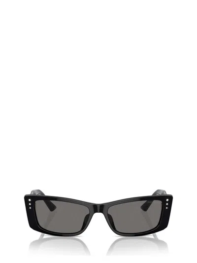 Jimmy Choo Sunglasses In Black