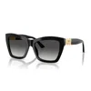 JIMMY CHOO JIMMY CHOO SUNGLASSES