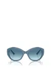 Jimmy Choo Sunglasses In Blue