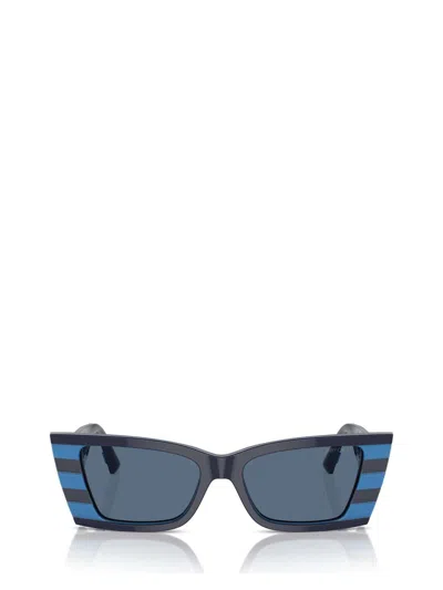 Jimmy Choo Sunglasses In Multi