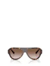 Jimmy Choo Sunglasses In Brown