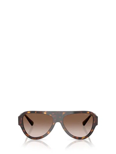 Jimmy Choo Sunglasses In Brown