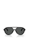 Jimmy Choo Sunglasses In Brown