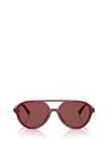 Jimmy Choo Sunglasses In Brown
