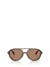 Jimmy Choo Sunglasses In Brown