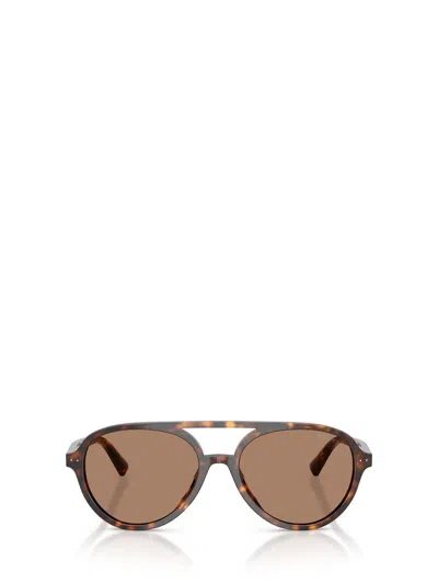 Jimmy Choo Sunglasses In Brown