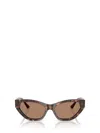 Jimmy Choo Sunglasses In Brown