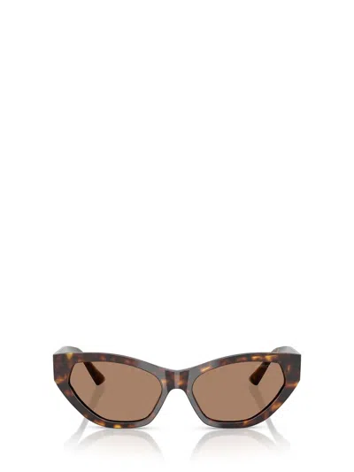 Jimmy Choo Sunglasses In Brown