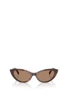 Jimmy Choo Sunglasses In Brown