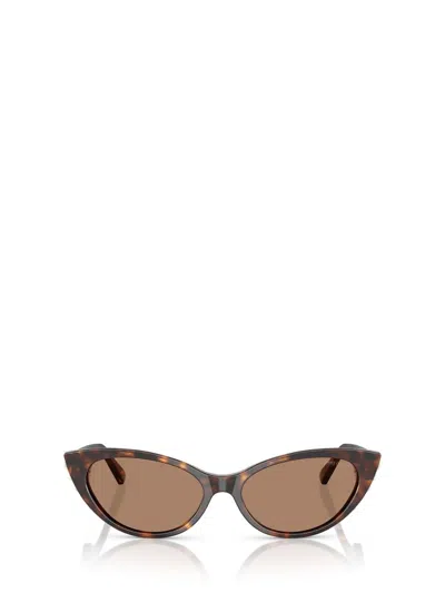 Jimmy Choo Sunglasses In Brown